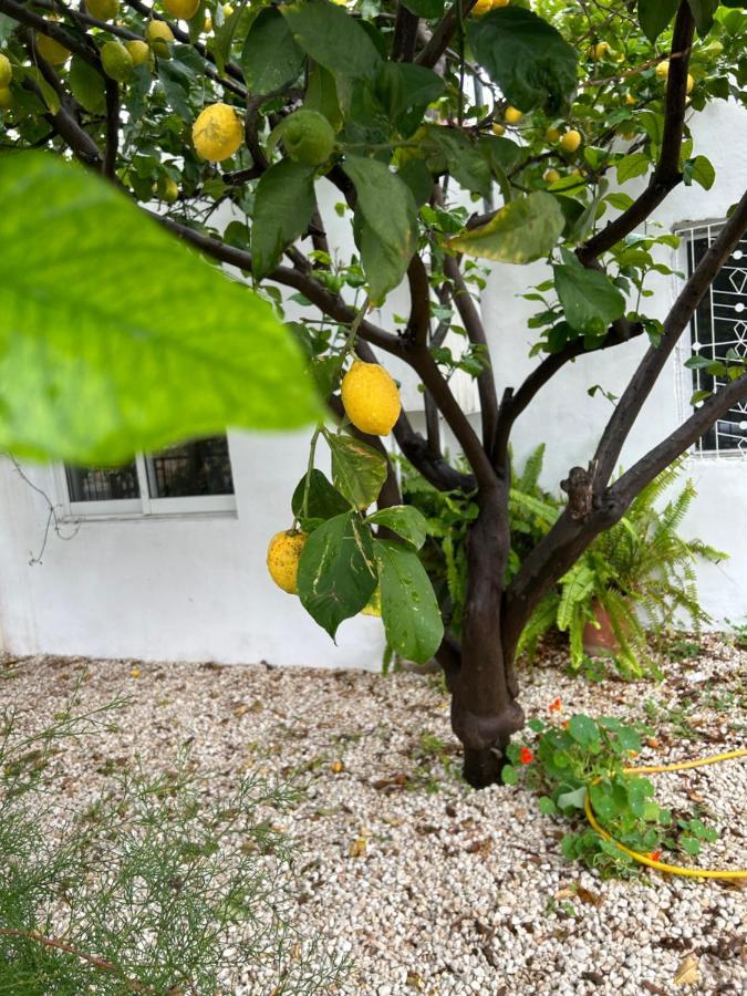 Avra House Villa Limassol Bagian luar foto
